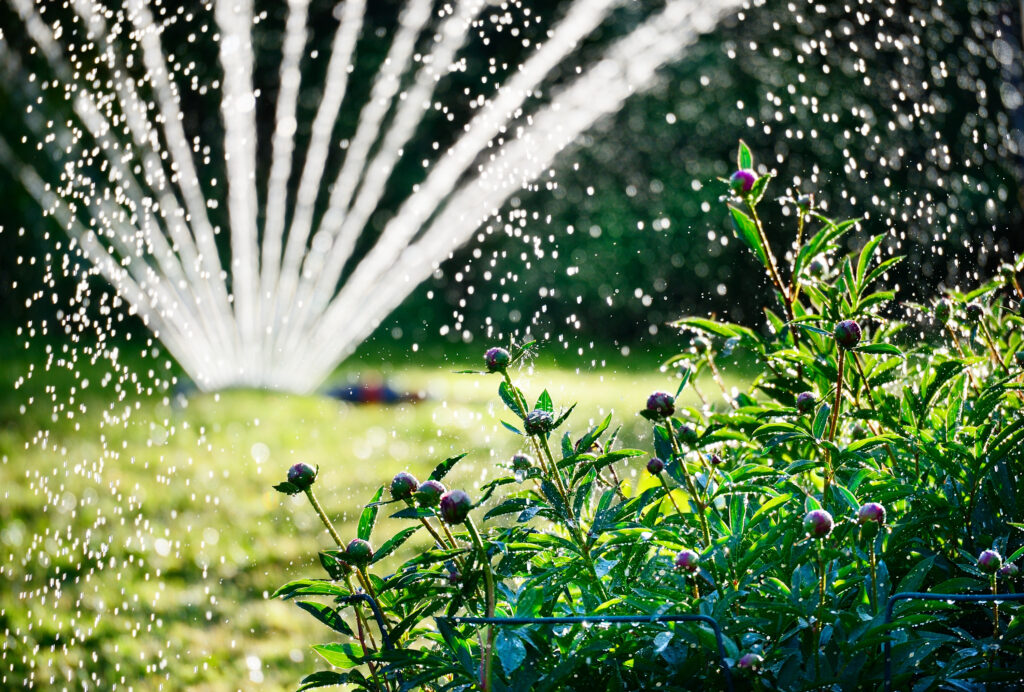Sprinkler watering lawn in the fall.