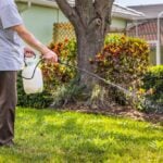 Man spraying lawn with specialized lawn treatment