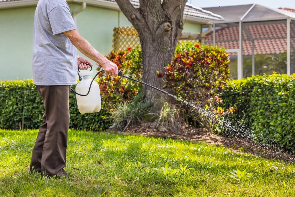 Man spraying lawn with specialized lawn treatment