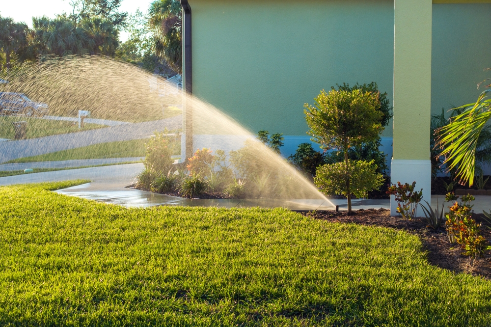 Sprinkler watering a spring lawn at sunset, green plants and perennials, fresh mulch