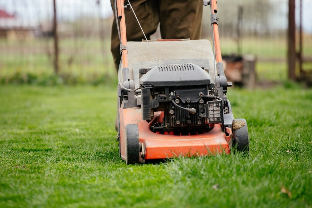 How Often Should You Mow Your Lawn? Mowing Guidelines by Season