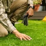 man touch perfect green grass with hand. lawn care and landscaping service. banner with copy space