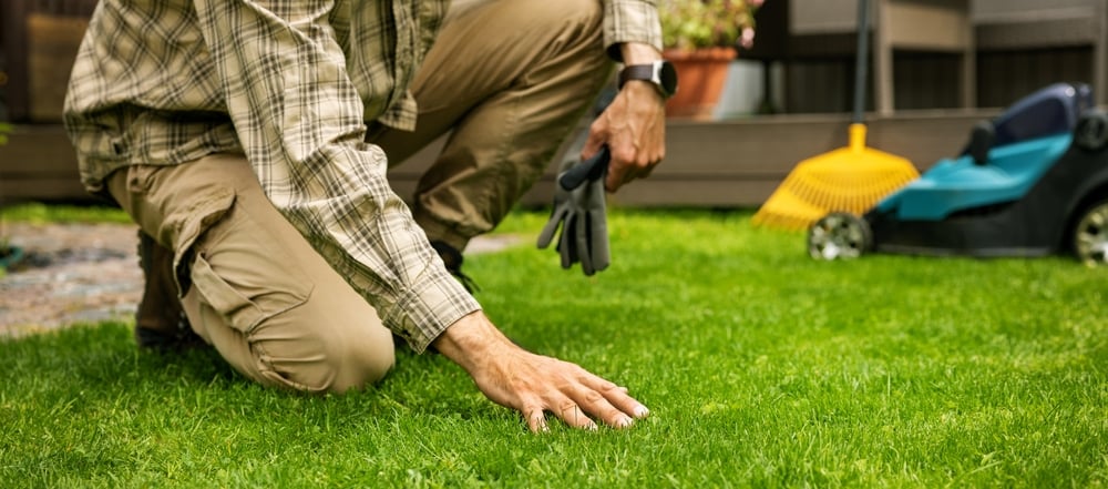 How to Keep Your Lawn Healthy During Extreme Summer Heat in Johnson County, KS