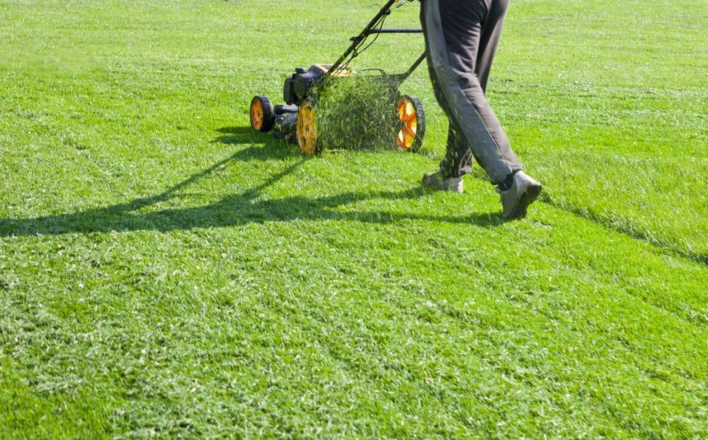 Man pushes lawn mower across lawn, healthy grass