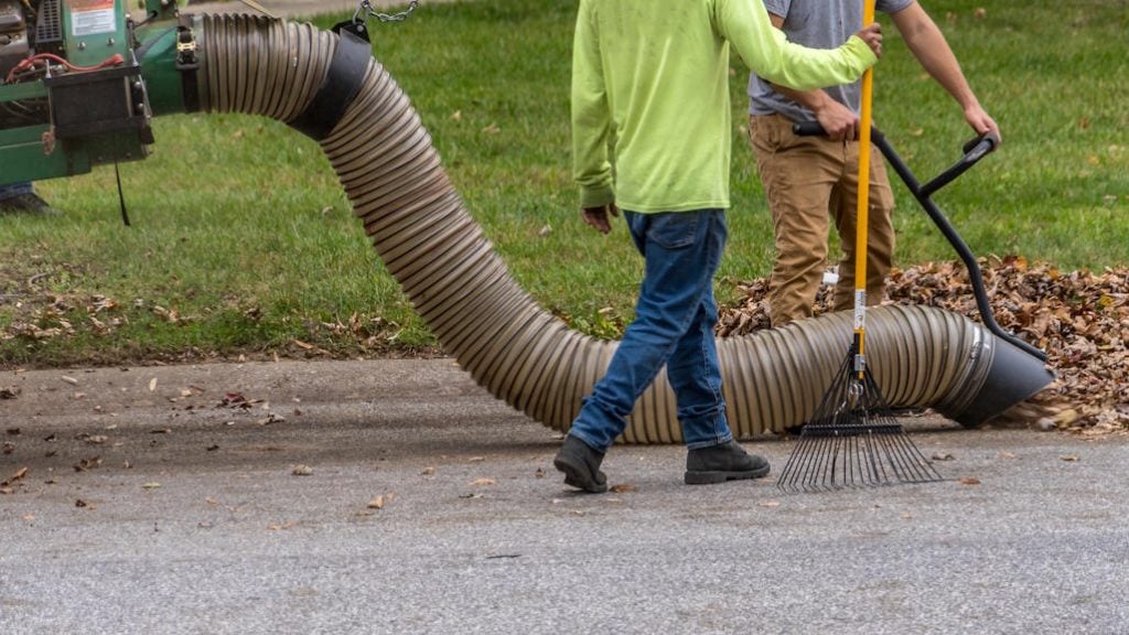 leaf-removal leaf-removal